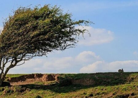 احتمال بارش پراکنده باران برای البرز/ وزش باد ادامه داد