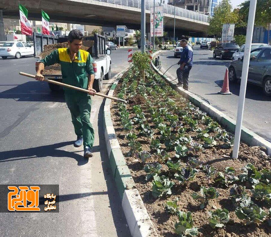 کاشت ۹ هزار بوته از انواع گلهای فصلی در عرصه فضای سبز منطقه ۹ کرج کاشت ۹ هزار بوته از انواع گلهای فصلی در عرصه فضای سبز منطقه ۹ کرج