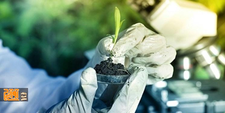 تأمین امنیت غذایی پایدار از طریق انتقال دانش و فناوری به کشاورزان میسر میشود تأمین امنیت غذایی پایدار از طریق انتقال دانش و فناوری به کشاورزان میسر میشود