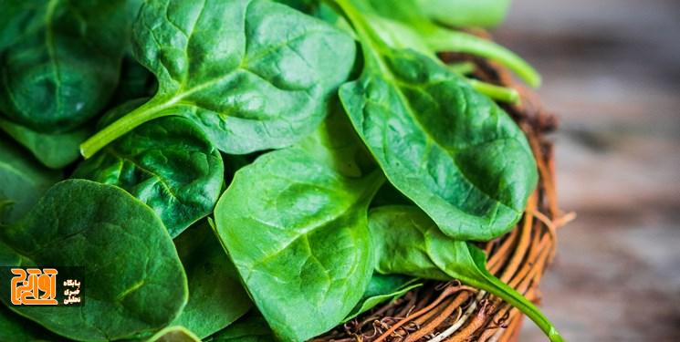 اسفناج از ابتلا به سرطان پیشگیری میکند اسفناج از ابتلا به سرطان پیشگیری میکند