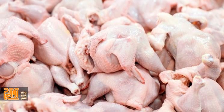 وضعیت بازار مرغ به پایداری رسیده است وضعیت بازار مرغ به پایداری رسیده است