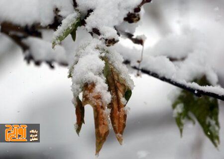 مدارس طالقان به واسطه بارش برف غیرحضوری شد