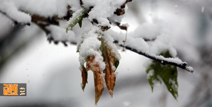 مدارس طالقان به واسطه بارش برف غیرحضوری شد