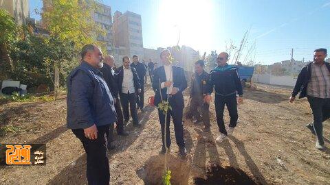 قبرستانی قدیمی و متروکه به فضای سبز تبدیل شد قبرستانی قدیمی و متروکه به فضای سبز تبدیل شد