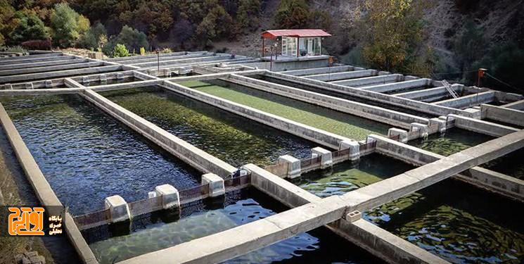 ظرفیت آبزی پروری در ایران به ۶۰۰ هزار تن رسید ظرفیت آبزی پروری در ایران به ۶۰۰ هزار تن رسید