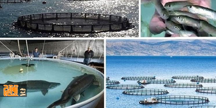 هفتمین کنگره بین المللی تحقیقات شیلات و آبزیان کشور در البرز هفتمین کنگره بین المللی تحقیقات شیلات و آبزیان کشور در البرز