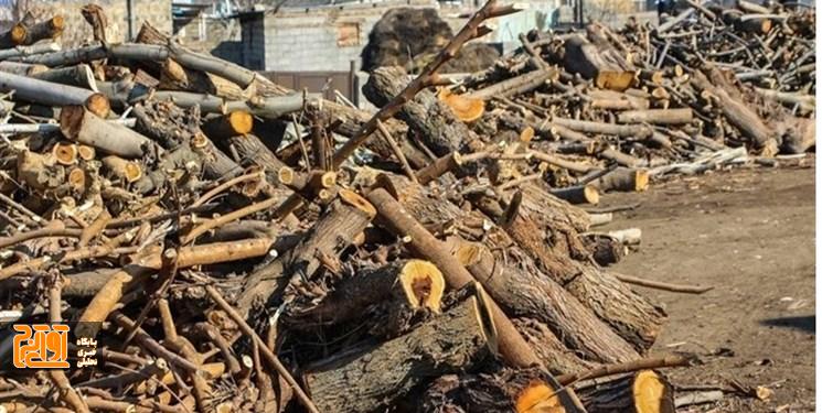 کشف و توقیف محموله بزرگ چوب قاچاق در شهرستان طالقان کشف و توقیف محموله بزرگ چوب قاچاق در شهرستان طالقان