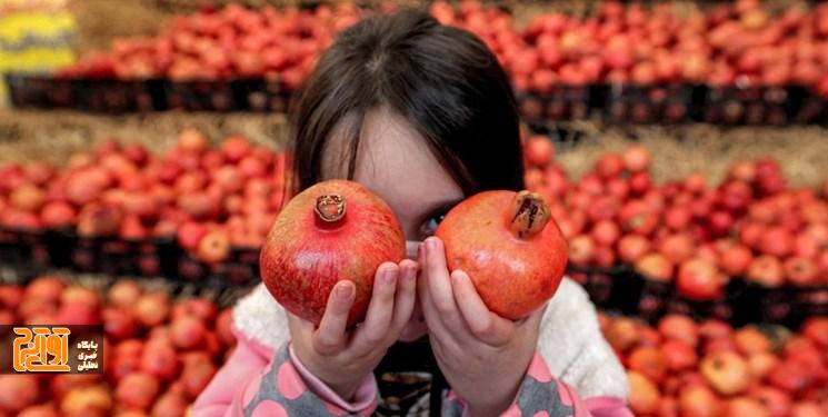 توزیع میوه شب یلدا میان نیازمندان البرزی توزیع میوه شب یلدا میان نیازمندان البرزی