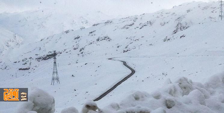 کوهنوردی به علت برف و کولاک در البرز با خطر همراه است کوهنوردی به علت برف و کولاک در البرز با خطر همراه است