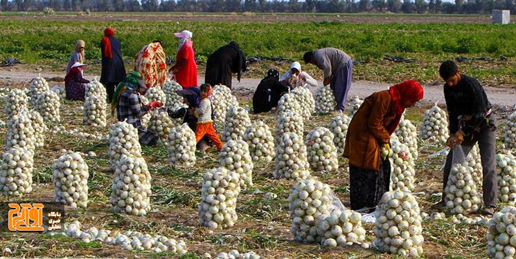 نظرآباد قابلیت توسعه گردشگری کشاورزی را دارد نظرآباد قابلیت توسعه گردشگری کشاورزی را دارد