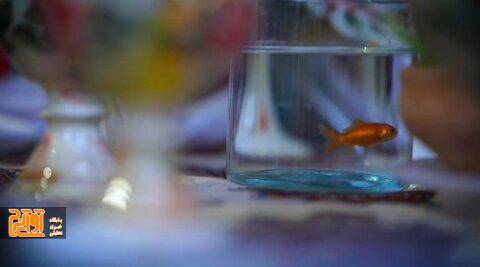 برپایی چهار ایستگاه نوروزی در شهر کرج برپایی چهار ایستگاه نوروزی در شهر کرج