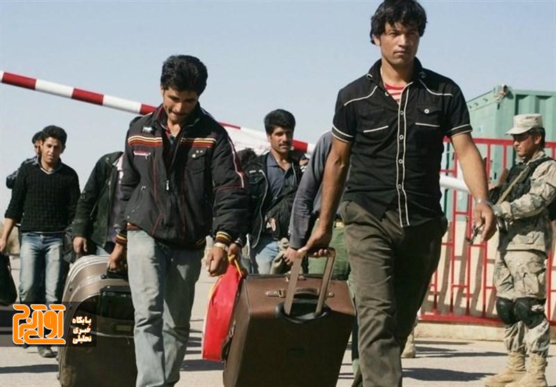 جمعیت اتباع در استان البرز به اندازه یک شهرستان شد جمعیت اتباع در استان البرز به اندازه یک شهرستان شد