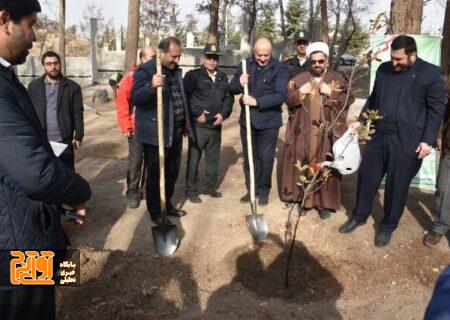 استان البرز پویش نهال‌کاری “در سایه مادر” را آغاز کرد