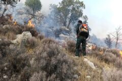 بررسی علت آتش سوزی در منطقه حفاظت‌شده البرز جنوبی