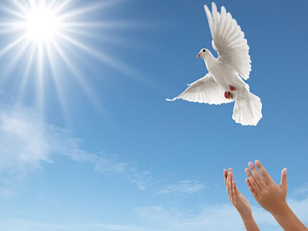 پویش «به عشق محمد (ص) می بخشم» در البرز آغاز به کار کرد