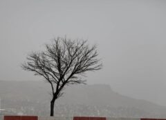 پیش‌بینی وزش باد شدید و گرد و خاک در البرز