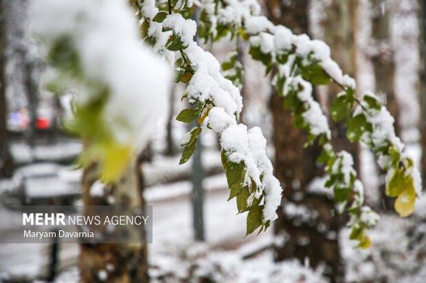 بارش برف و کاهش شدید دما از یکشنبه تا سه‌شنبه در البرز