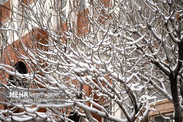 سرمای شدید در البرز رکورد زد/ پیش بینی بارش برف