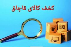 کشف ۲۶۰۰ صفحه برش خارجی به ارزش ۴۰ میلیارد ریال در فردیس