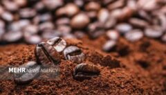 کشف قهوه و روغن چوب قاچاق از دل اتوبوس مسافربری کرج