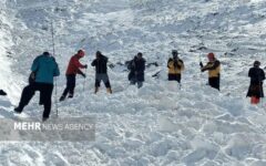 گرفتار شدن دو کوهنورد البرزی زیر بهمن؛ عملیات جست‌وجو ادامه دارد
