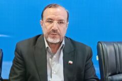 نماینده البرز خواستار حمایت از خانواده‌های دارای فرزند چندقلو شد