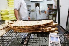 افزایش قیمت نان در البرز؛ هشدار جدی اتاق اصناف نسبت به گران فروشی