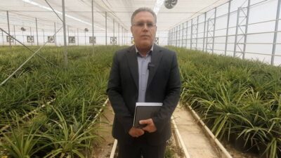 رشد ۱۰۰ درصدی کشت گلخانه‌ای در البرز؛ نهاده‌های کشاورزی در وضعیت مطلوب